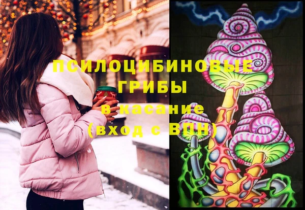 ПСИЛОЦИБИНОВЫЕ ГРИБЫ Алзамай