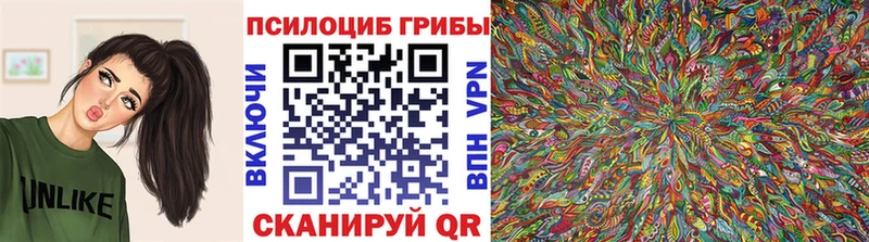 МЕГА зеркало  как найти   Серов  Псилоцибиновые грибы ЛСД 