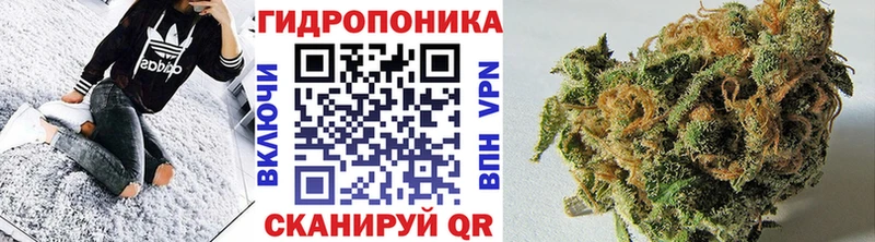 Шишки марихуана планчик  Серов 